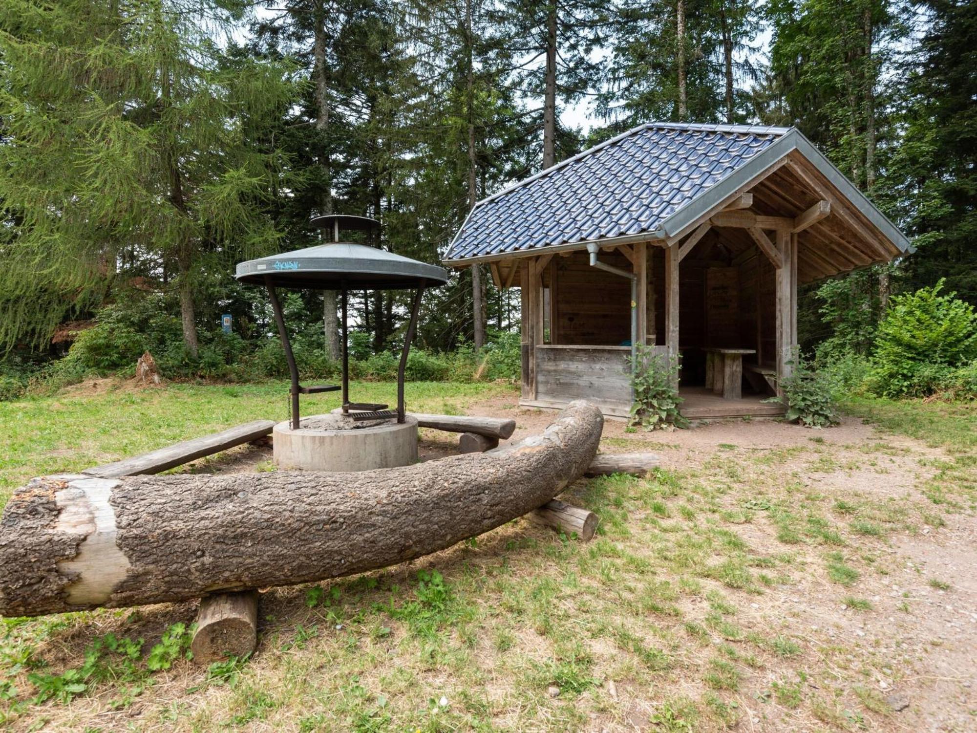 Apartment In Malsburg Marzell With Private Garden 外观 照片